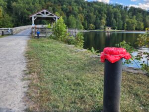 Sen. Capito seeks answers from FERC on Lake Lynn Generation's park maintenance